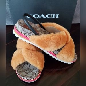 Brand New Coach Tally Shearling Sandals US 8.5B